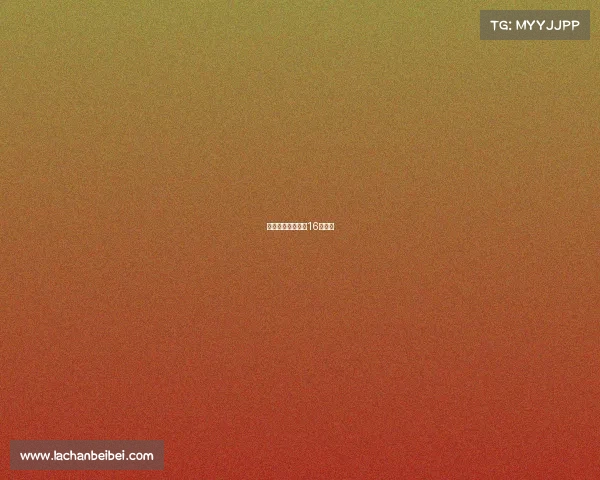 十六强赛事安排—16强出炉